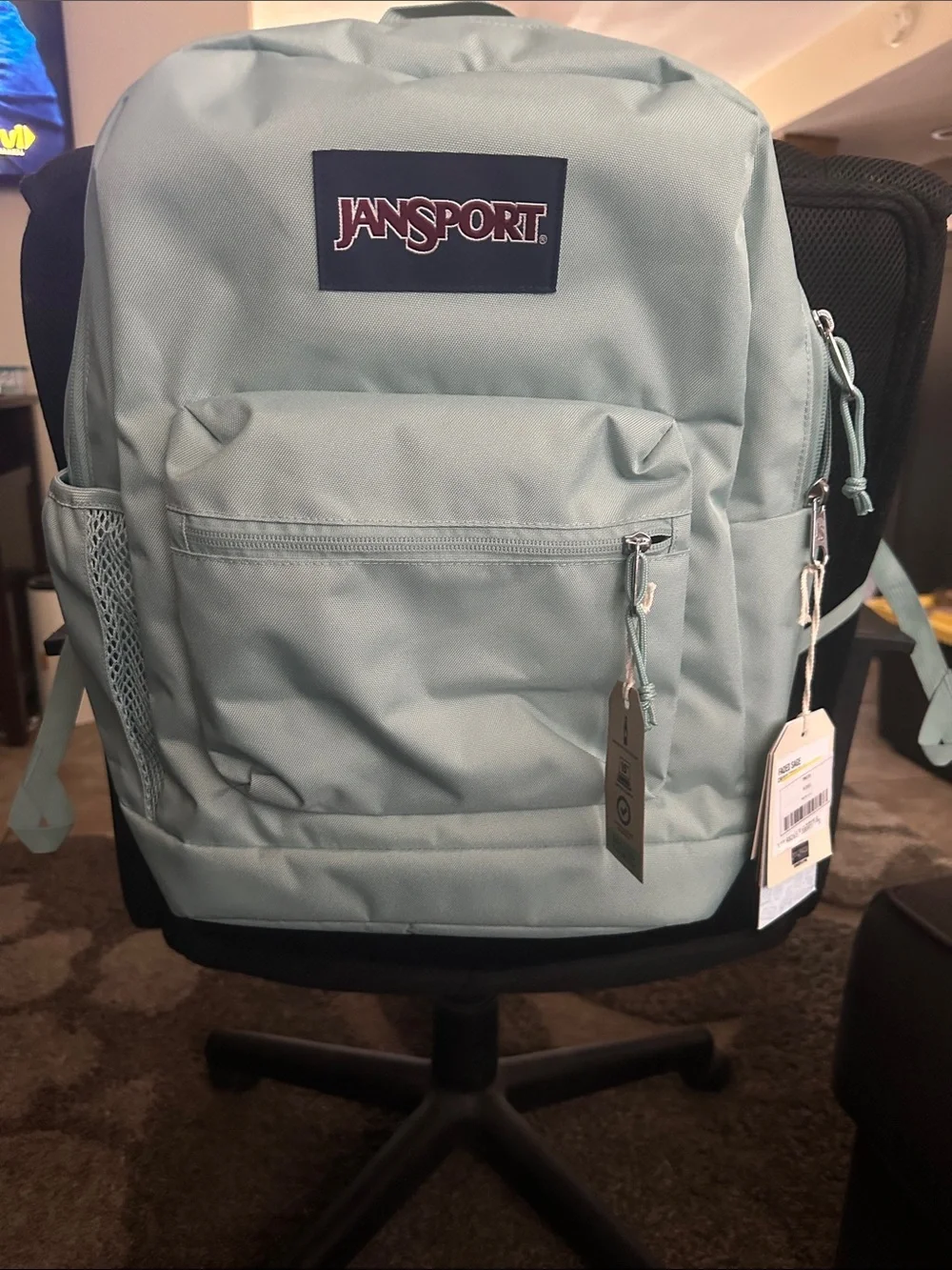Sage Jansport Mint Green Classic Backpack